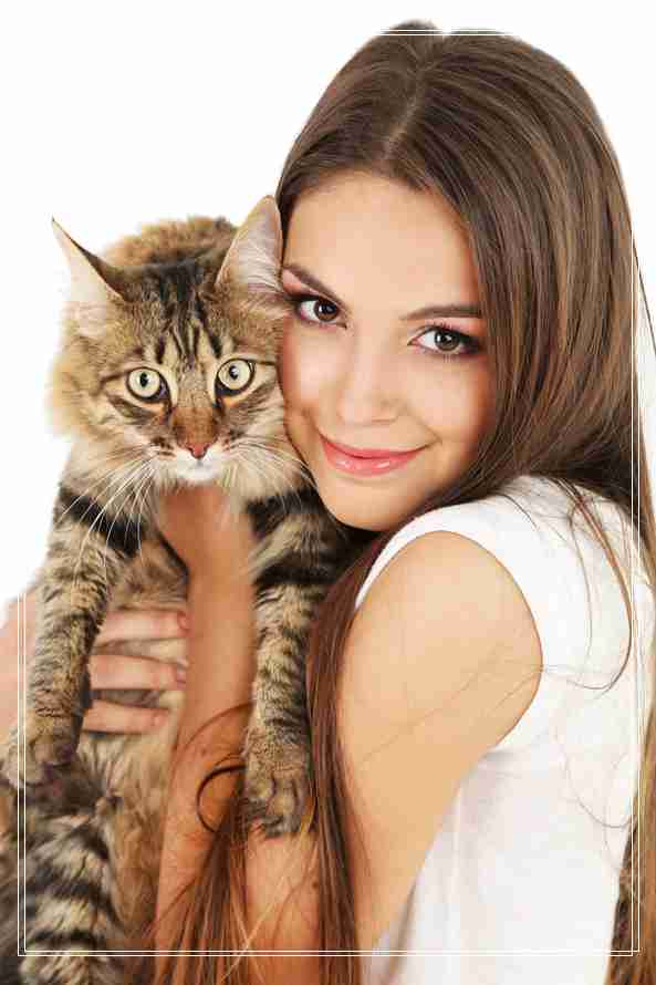 小猫猫咪的基因,也是一种美,养猫记
