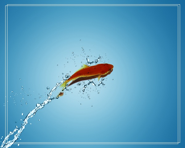 水族箱过滤器的常见安装方法,底滤鱼缸过滤系统