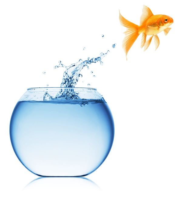 水族箱加热棒的选购要点,价格多少钱?